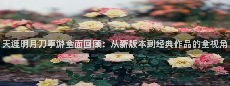 多彩娱乐科技：天涯明月刀手游全面回顾：从新版本到经典作品的全