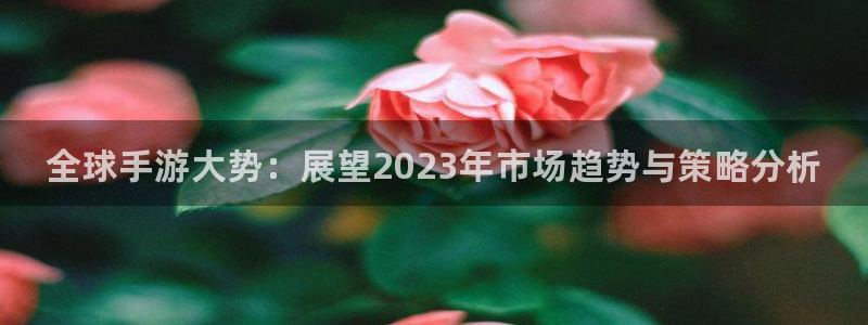 多彩娱乐在线登录：全球手游大势：展望2023年市场趋势与策略