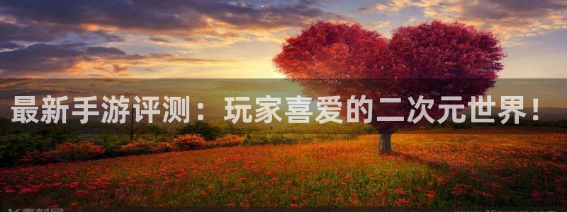 多彩娱乐平台官网客服电话：最新手游评测：玩家喜爱的二次元世界