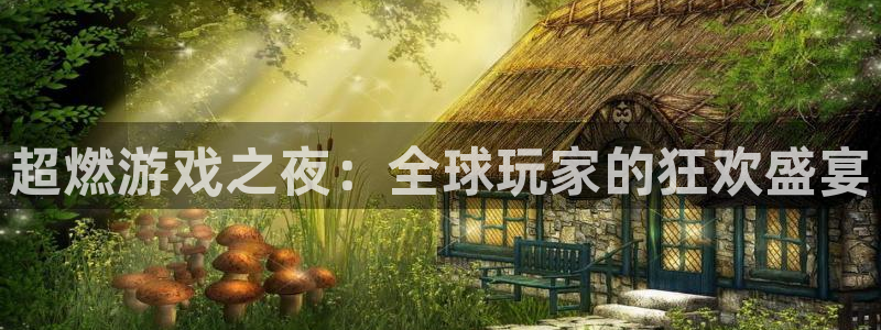 多彩娱乐注册网站：超燃游戏之夜：全球玩家的狂欢盛宴