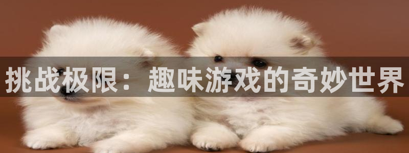 多彩娱乐登录网址：挑战极限：趣味游戏的奇妙世界