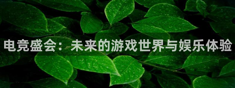 多彩娱乐手机网页版登录：电竞盛会：未来的游戏世界与娱乐体验