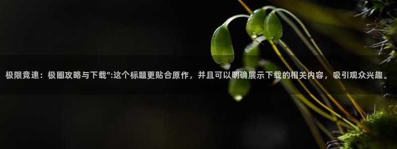 多彩娱乐Ii：极限竞速：极圈攻略与下载\